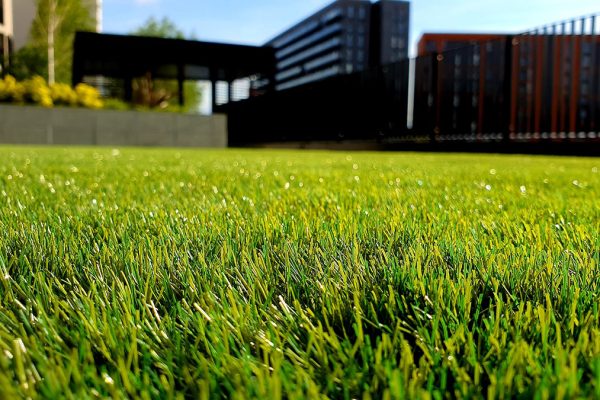 lawn-mowing-christchurch