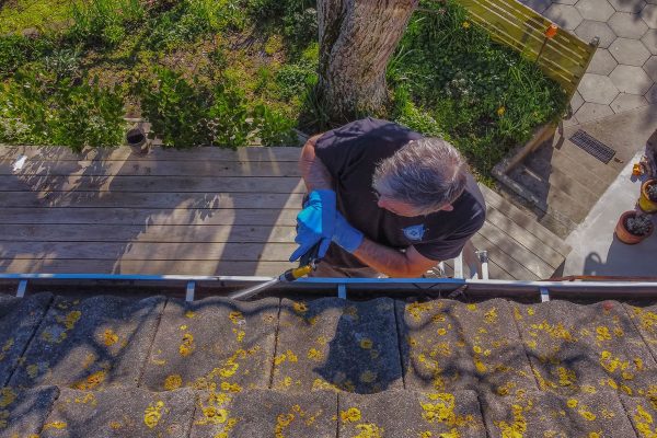 gutter-cleaning-christchurch