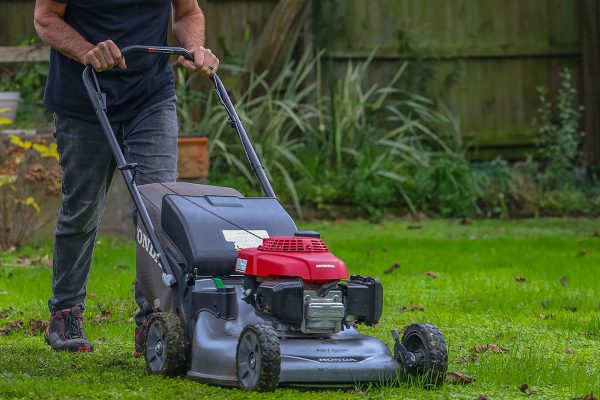 lawn-mowing-christchurch-06